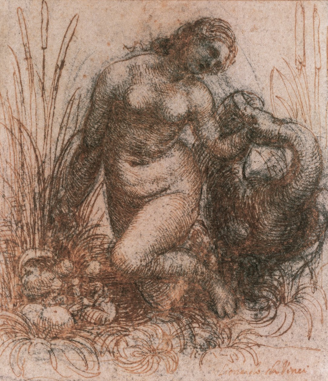 Leonardo da Vincin (1452-1519) tutkimus Ledalle ja joutsenelle, piirustus tekijältä Leonardo da Vinci
