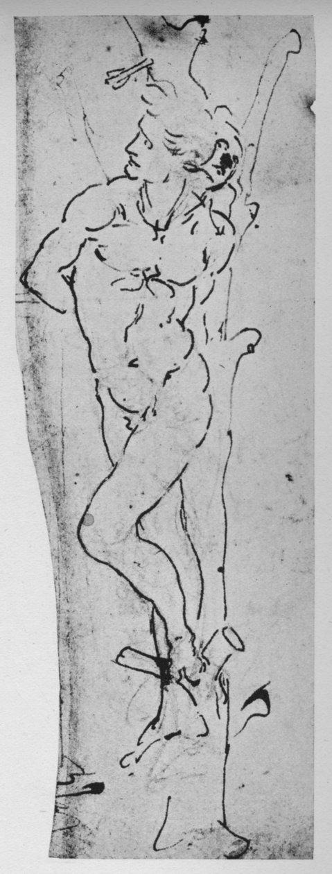 Study for St. Sebastian, c1480 1945 tekijältä Leonardo da Vinci
