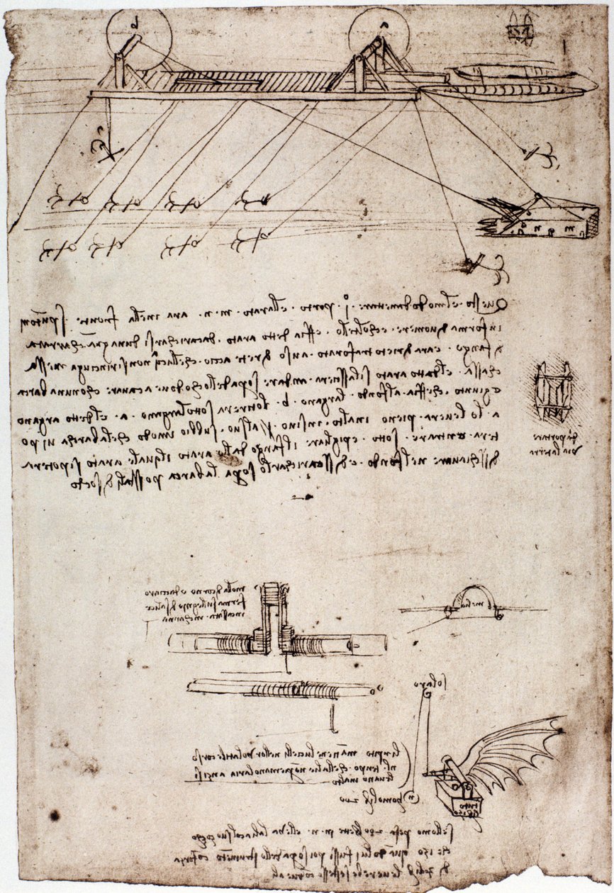 Leonard de Vincin (Leonardo da Vinci) (1452 - 1519) tutkimus meriharasta. Piirustus kynällä ja musteella. tekijältä Leonardo da Vinci
