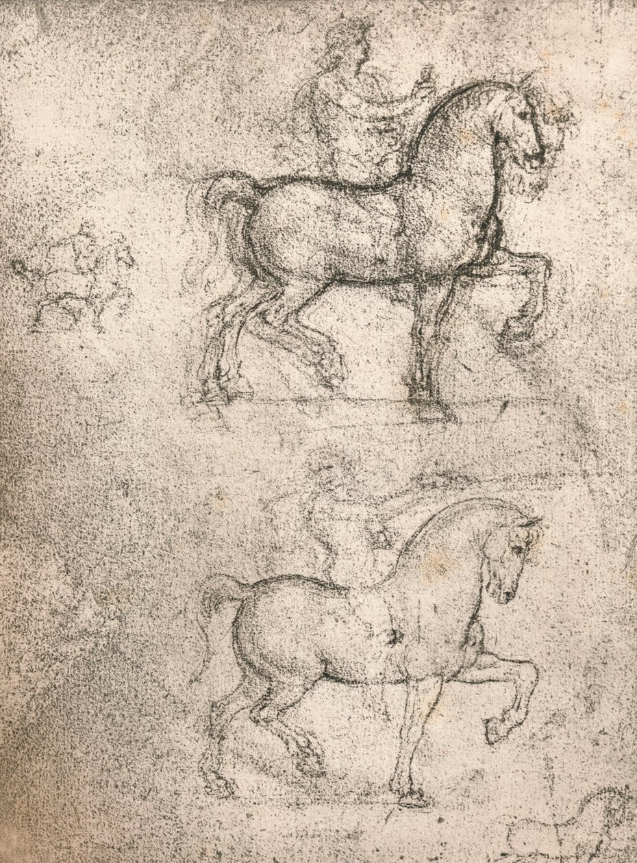 Tutkimus Sforza-monumentille, c1482-c1499 1883 tekijältä Leonardo da Vinci