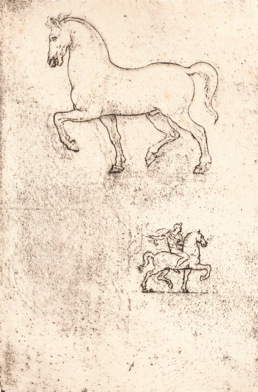 Tutkimus Sforza-monumentille, c1482-c1499 1883 tekijältä Leonardo da Vinci