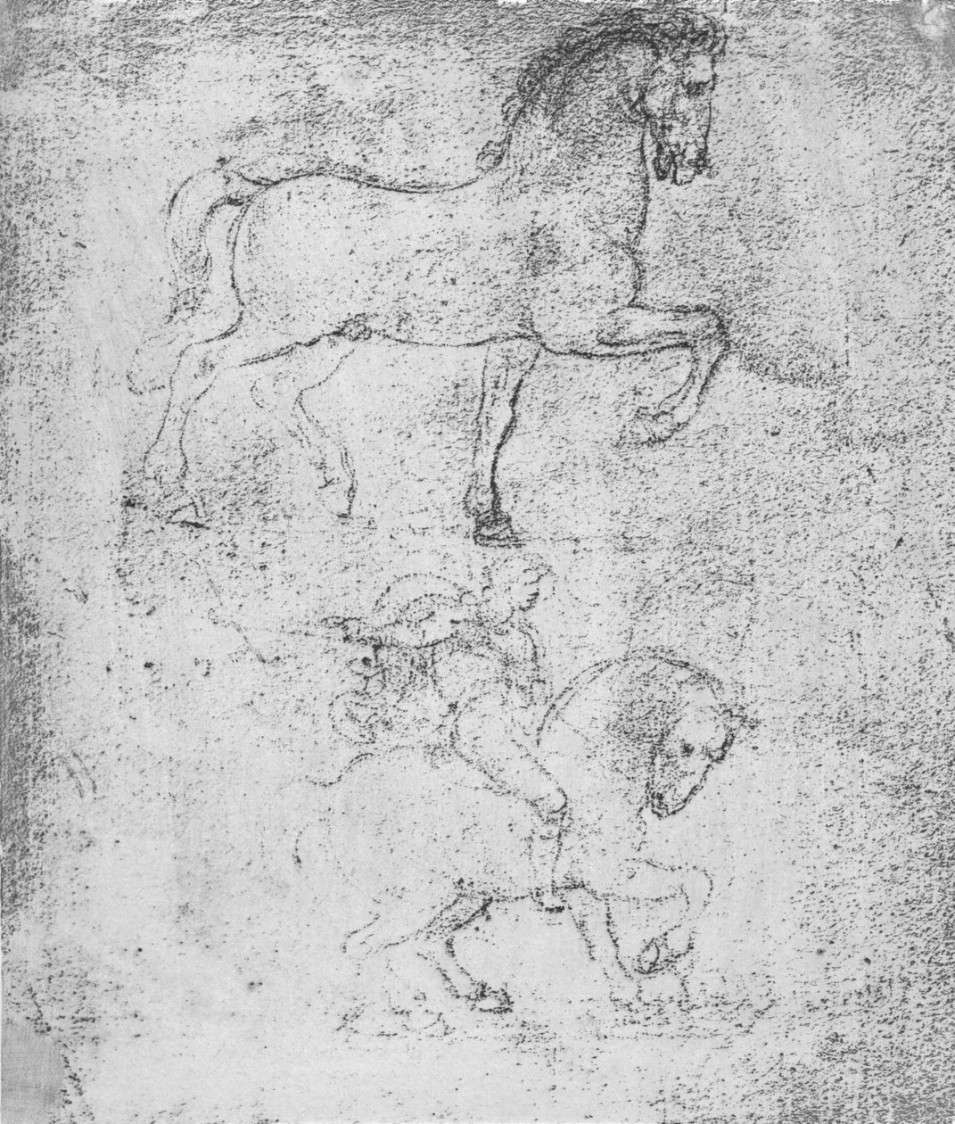 Tutkimus Sforza-monumentille, c1482-c1499 1883 tekijältä Leonardo da Vinci