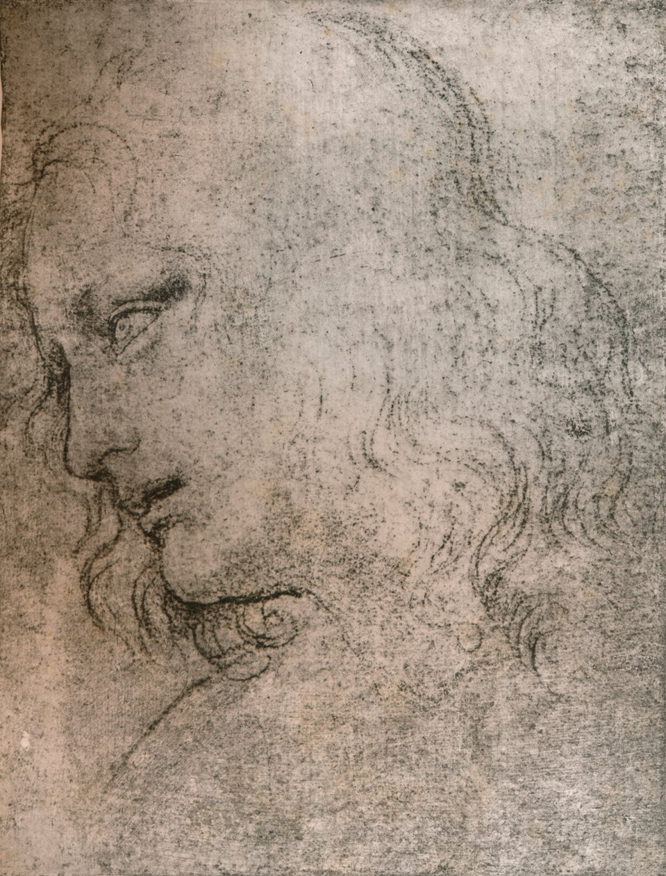 Tutkimus Pyhän Filippuksen päällikkölle teoksessa "Viimeinen ehtoollinen", c1494-c1499 1883. tekijältä Leonardo da Vinci