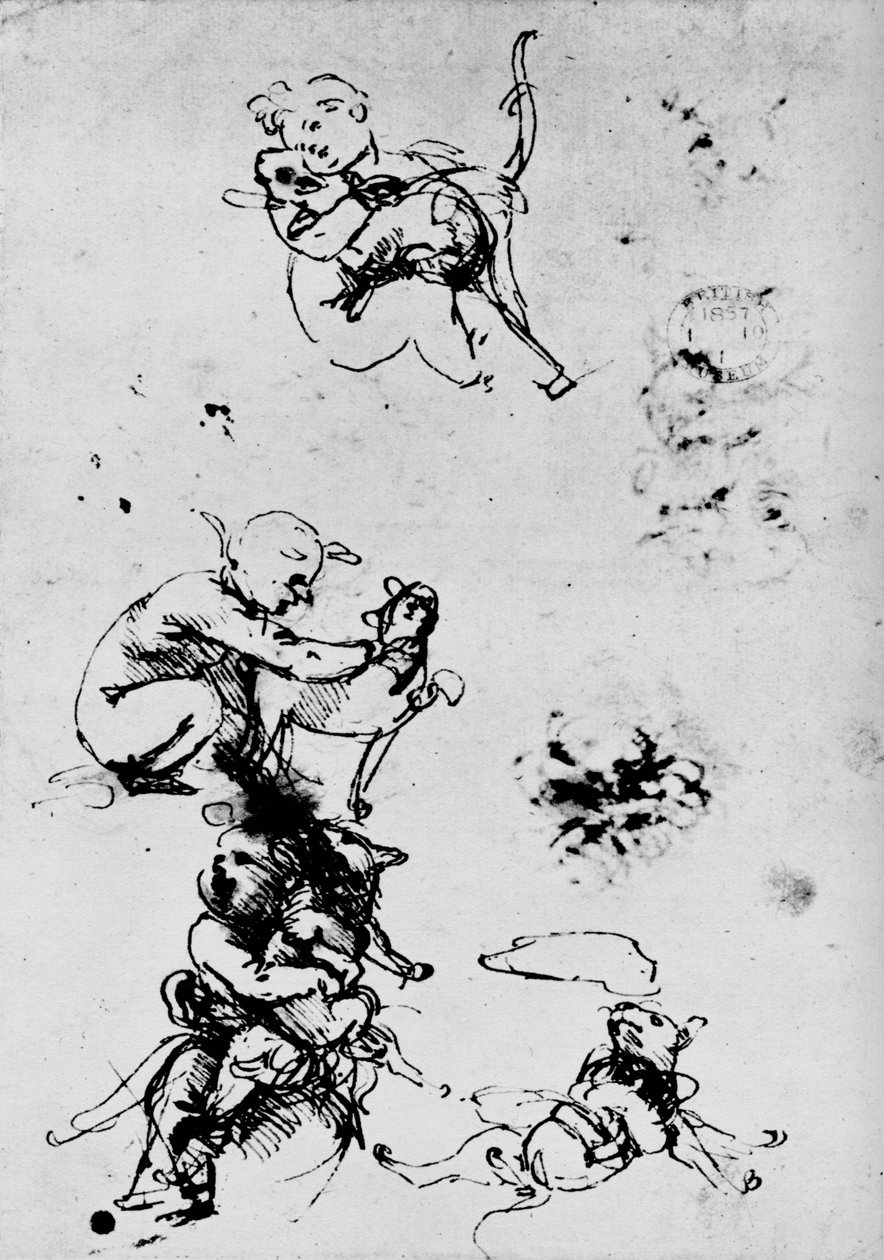 Tutkimus lapsesta kissan kanssa, 1478-1481 1945 tekijältä Leonardo da Vinci