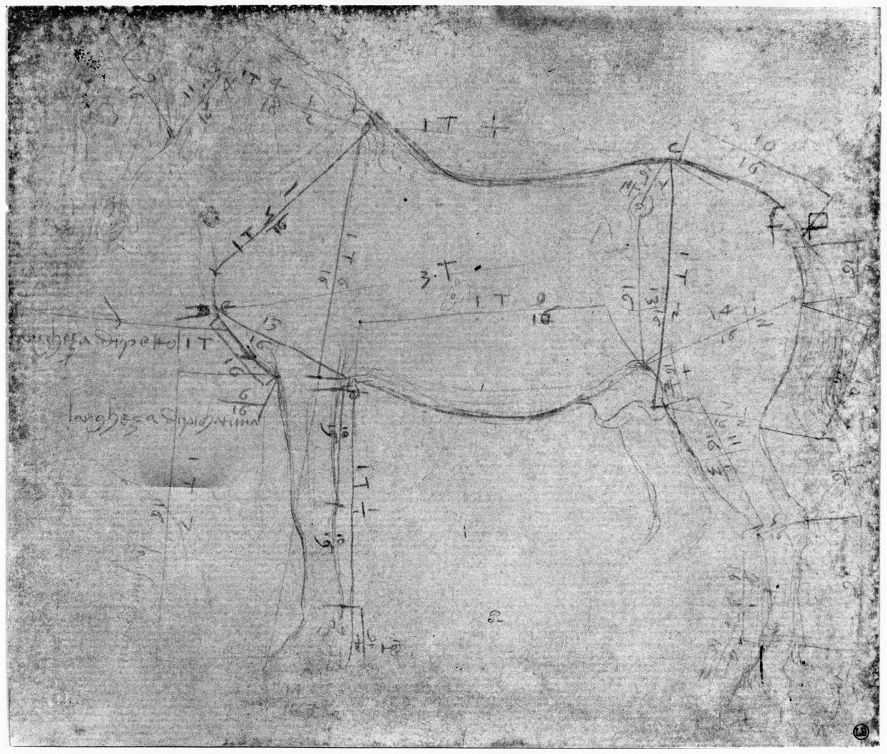 Hevostutkimus (metallipiste paperilla) tekijältä Leonardo da Vinci