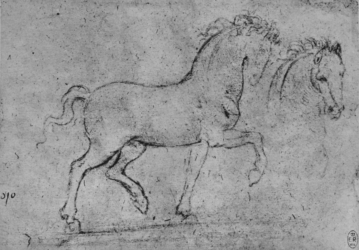 Tutkimus hevosesta ja hevosen päästä, c1480 1945 tekijältä Leonardo da Vinci
