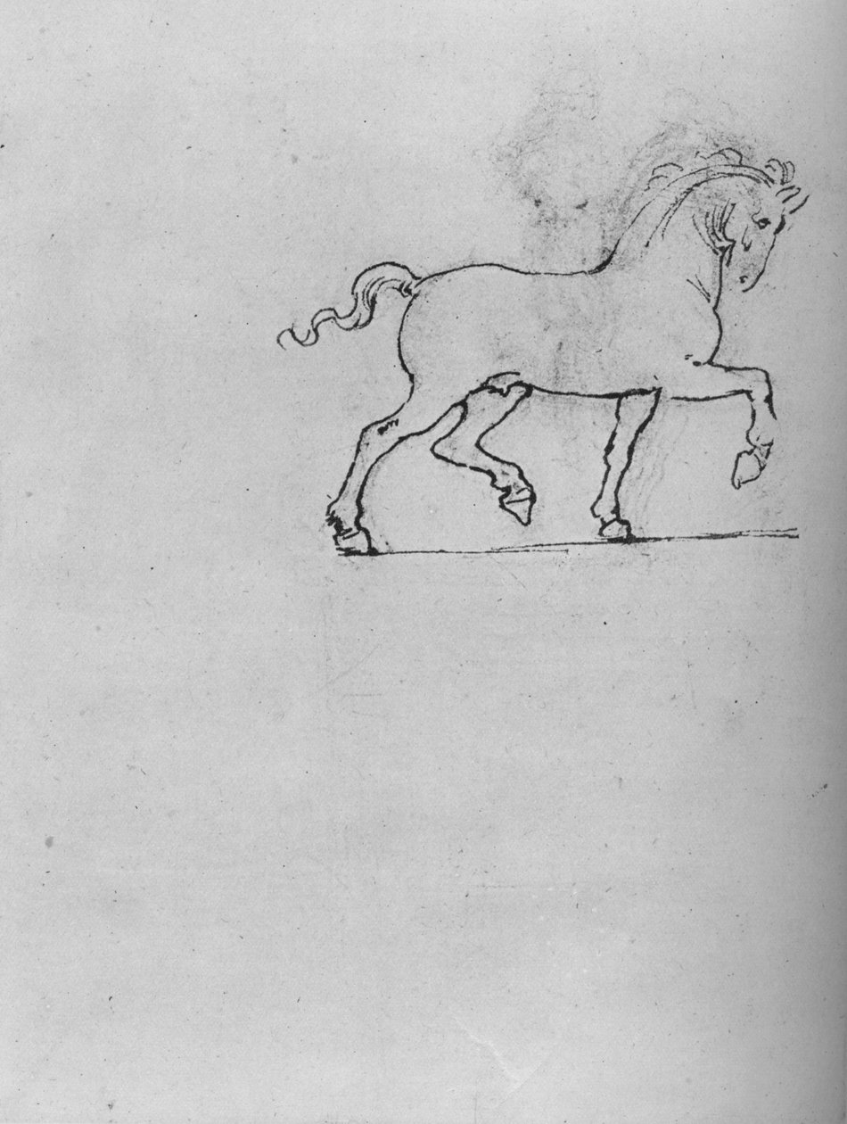 Tutkimus hevosesta, c1480 1945 tekijältä Leonardo da Vinci
