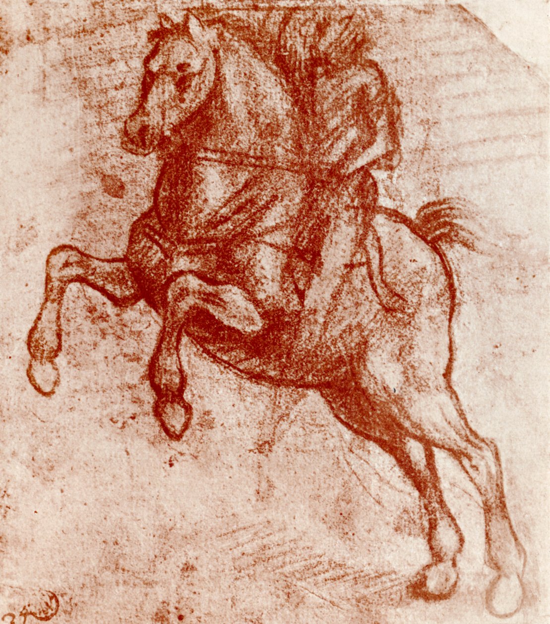 Leonardo De Vincin tutkimus ritarista, 1913 tekijältä Leonardo da Vinci