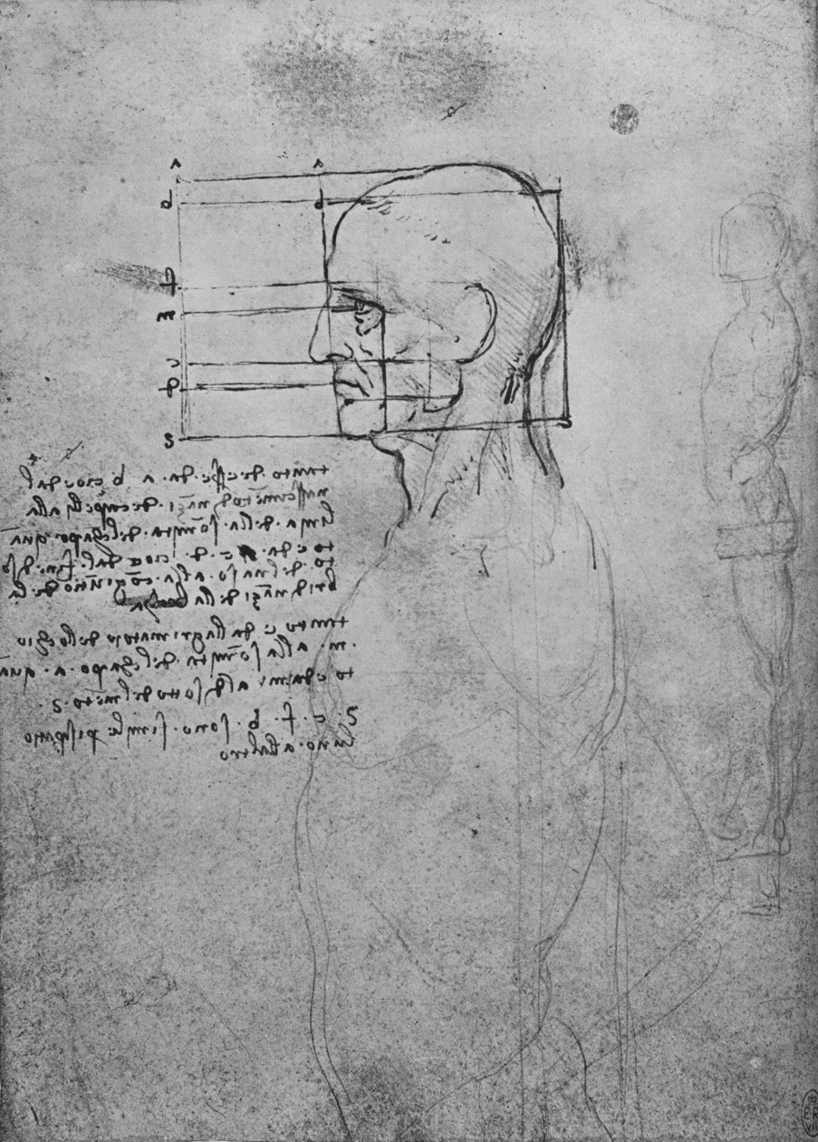 Tutkimus miehen alastonvartalosta, pää neliössä suhteessa, c1480 1945 tekijältä Leonardo da Vinci