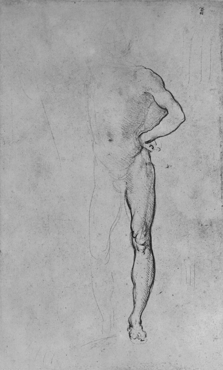 Tutkimus alaston miehestä vasen käsi lantiolla, c1480 1945 tekijältä Leonardo da Vinci