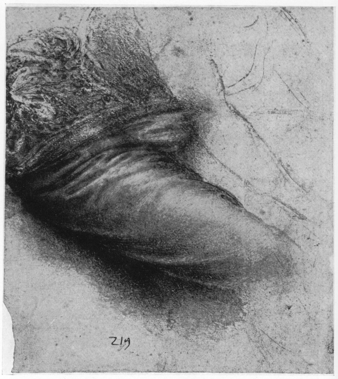 Vaatteen tutkimus St Annelle, 1503-1517 1954 tekijältä Leonardo da Vinci