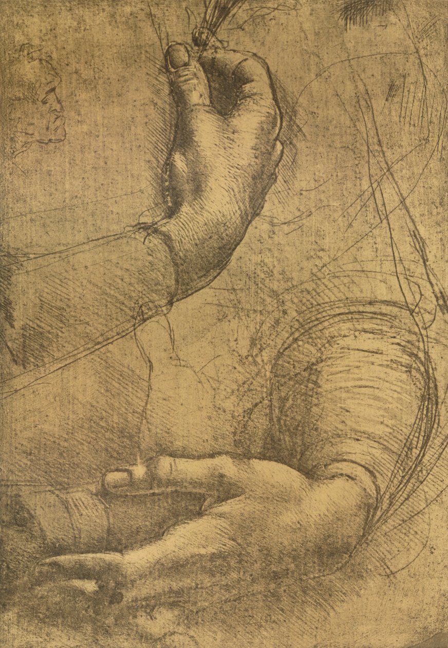 Naisten käsien tutkimus, c1472-c1519 1883 tekijältä Leonardo da Vinci