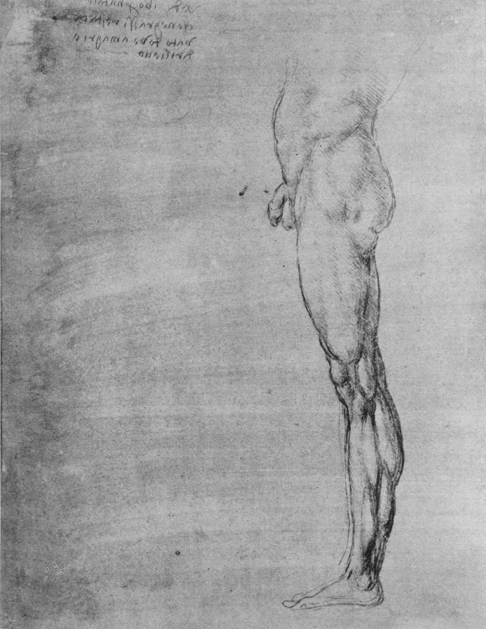 Tutkimus miehen ruumiista ja jaloista, c1480 1945 tekijältä Leonardo da Vinci