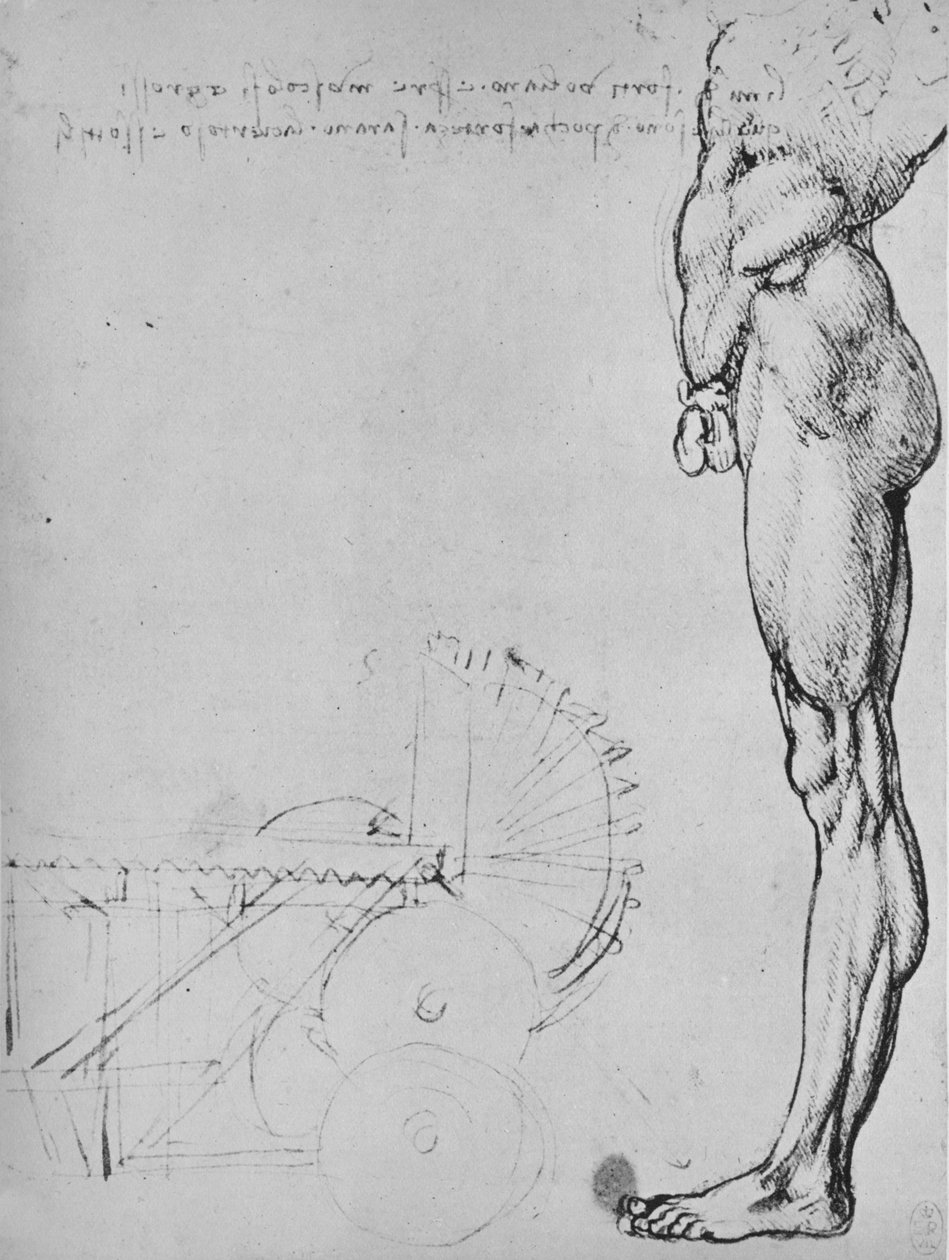 Tutkimus ihmisen alapuoliskosta ja koneista, c1480 1945 tekijältä Leonardo da Vinci