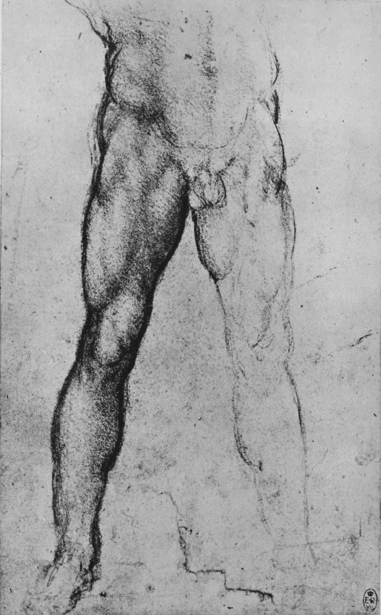 Tutkimus edessä kasvot alaston miehen alapuoliskosta, c1480 1945 tekijältä Leonardo da Vinci