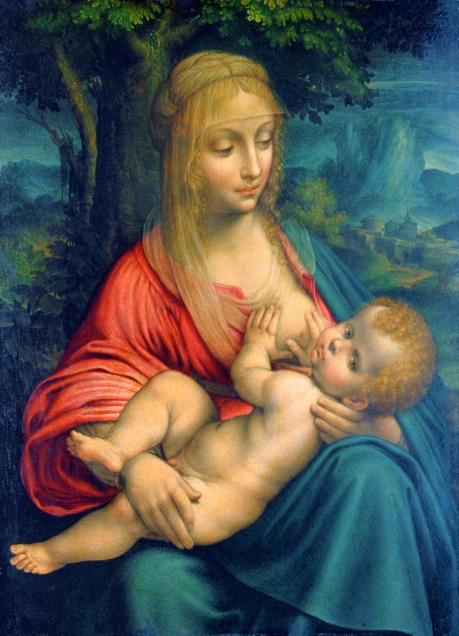 Neitsyt ja lapsi, c1511 tekijältä Leonardo da Vinci