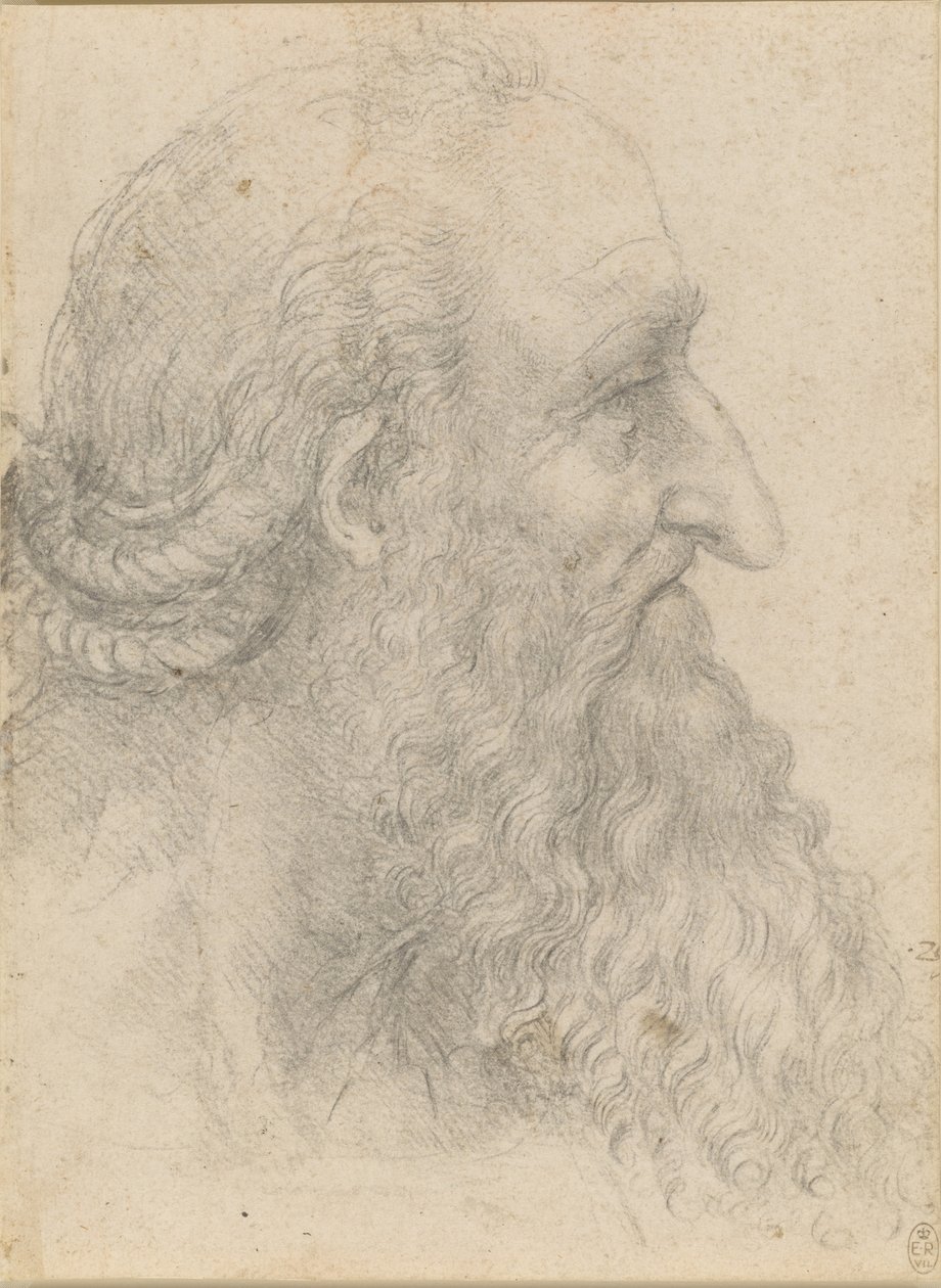Vanhan parrakkaan miehen pää, n. 1517. tekijältä Leonardo da Vinci