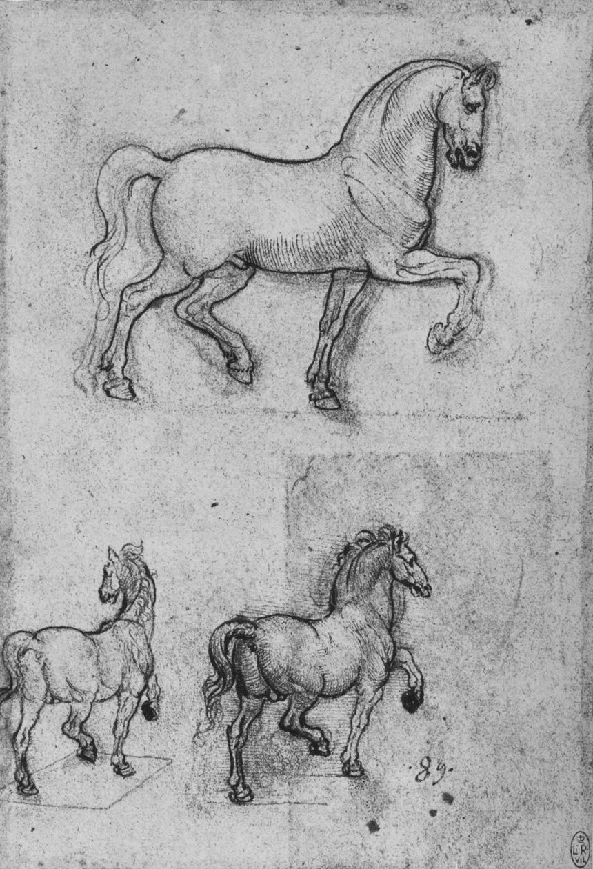 Three Studies of Horses, c1480 1945 tekijältä Leonardo da Vinci