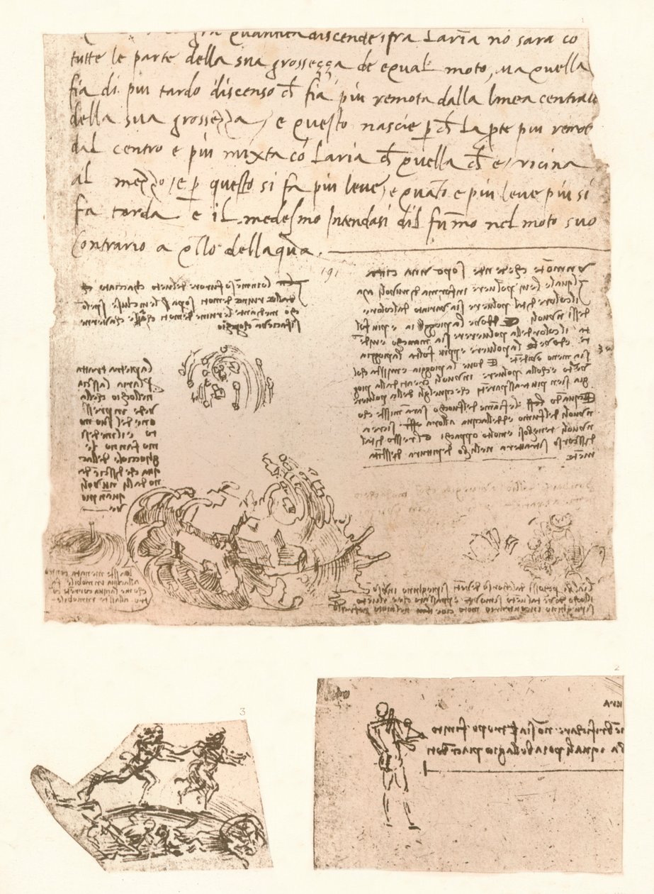 Kolme piirustusta, c1472-c1519 1883 tekijältä Leonardo da Vinci