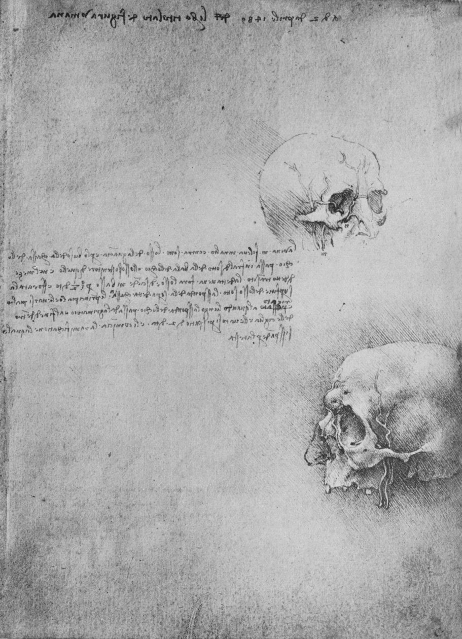 Kaksi piirustusta pään luurakenteesta, c1480 1945 tekijältä Leonardo da Vinci