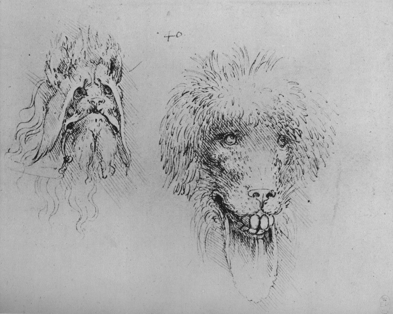 Two Heads of Monsters, c1480 1945 tekijältä Leonardo da Vinci