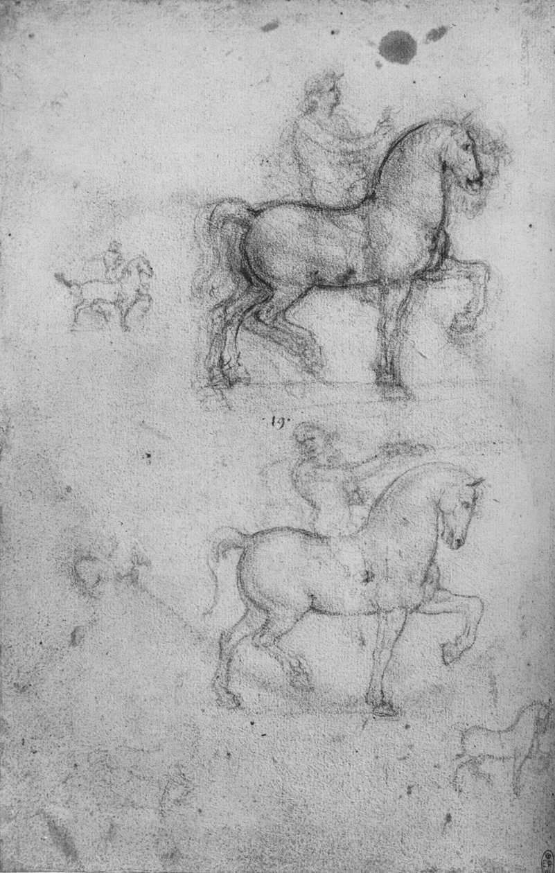 Kaksi tutkimusta hevosista ja ratsastajista ja pienempiä hevostutkimuksia, c1480 1945 tekijältä Leonardo da Vinci
