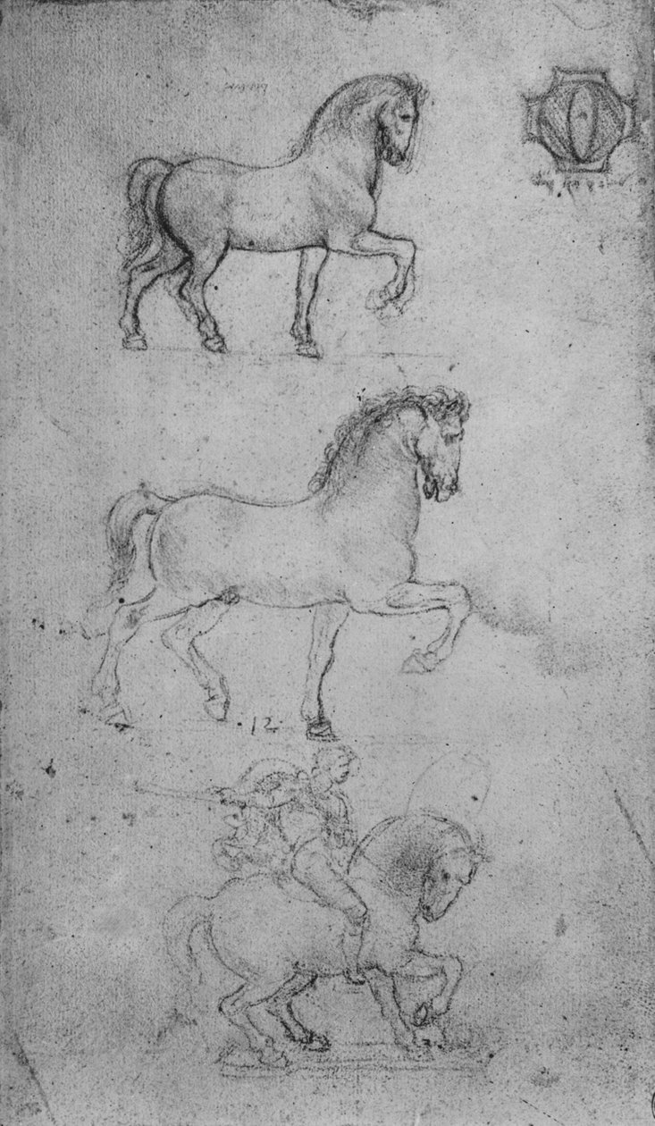 Kaksi tutkimusta hevosesta ja yksi hevosesta ja ratsastajasta, c1480 1945 tekijältä Leonardo da Vinci