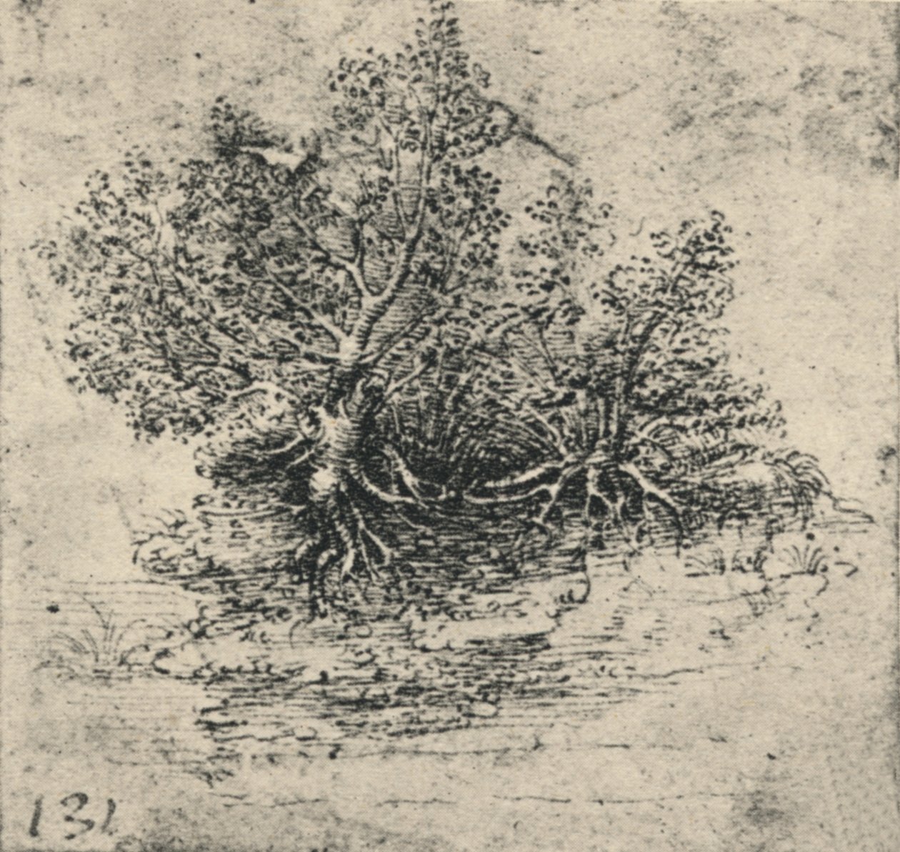 Kaksi puuta puron rannalla, c1480 1945 tekijältä Leonardo da Vinci