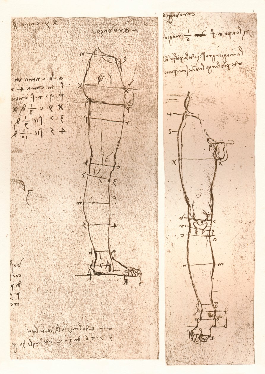 Kaksi piirustusta havainnollistavat teoriaa ihmishahmon mittasuhteista, c1472-c1519 1883 tekijältä Leonardo da Vinci