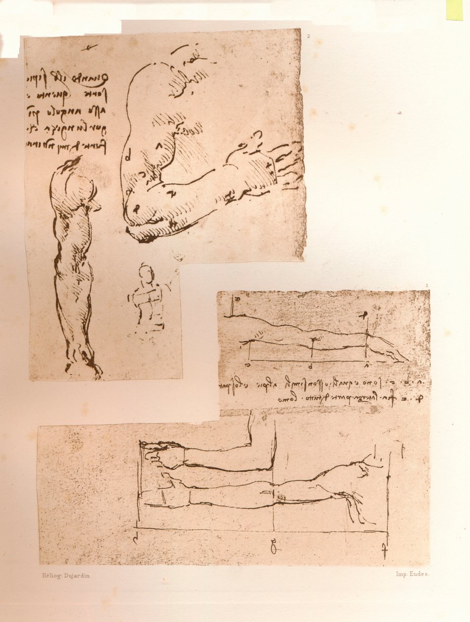 Kaksi piirustusta havainnollistavat teoriaa ihmishahmon mittasuhteista, c1472-c1519 1883 tekijältä Leonardo da Vinci