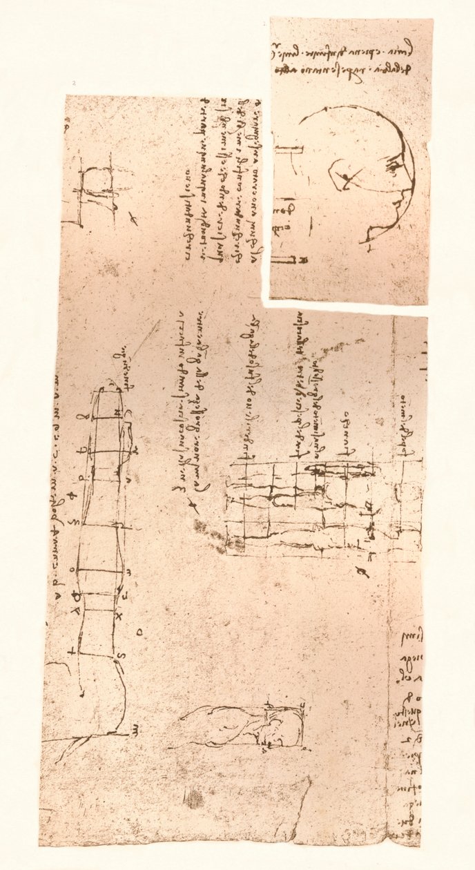 Kaksi piirustusta havainnollistavat teoriaa ihmishahmon mittasuhteista, c1472-c1519 1883 tekijältä Leonardo da Vinci