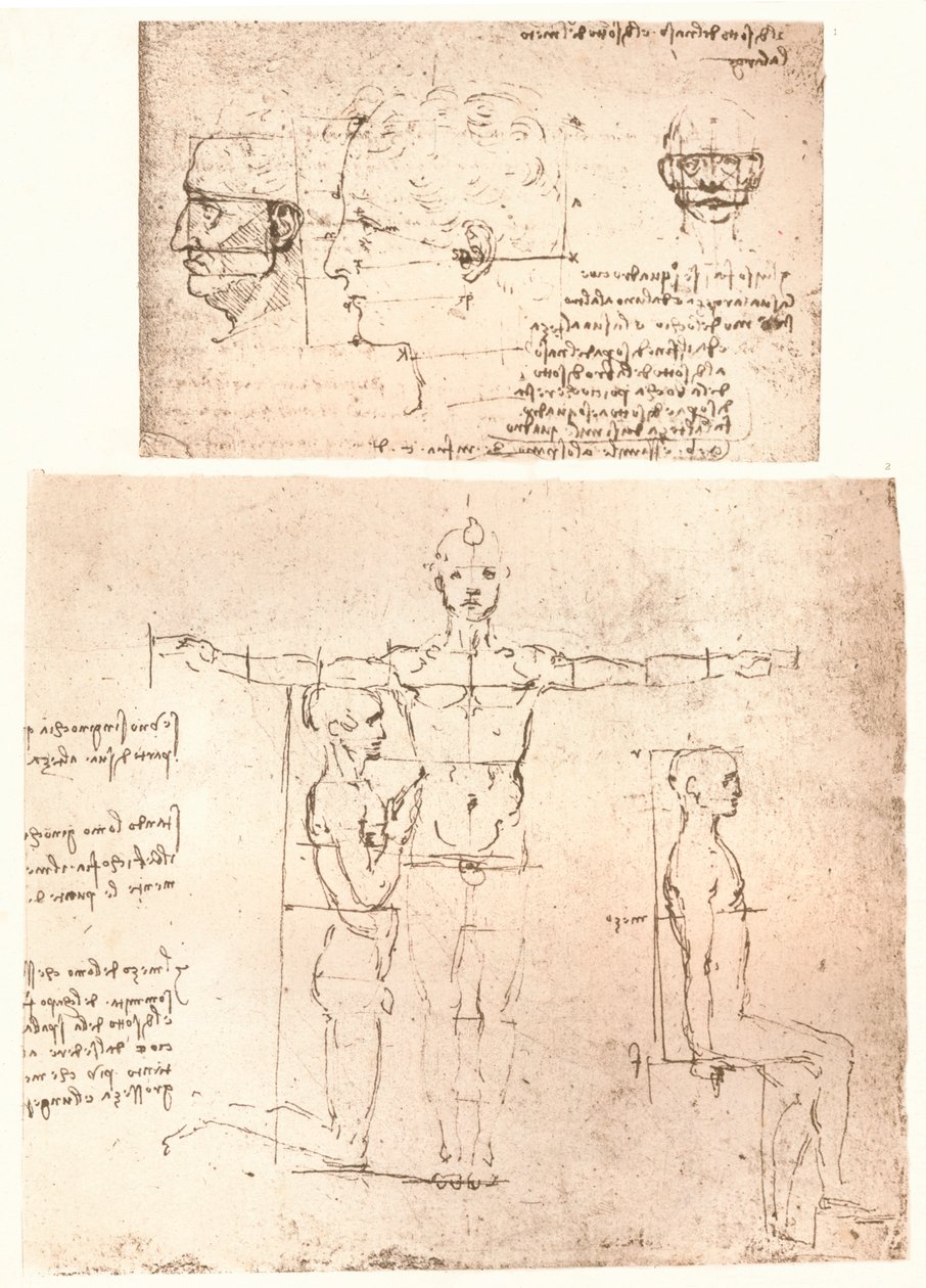 Kaksi piirustusta havainnollistavat teoriaa ihmishahmon mittasuhteista, c1472-c1519 1883. tekijältä Leonardo da Vinci