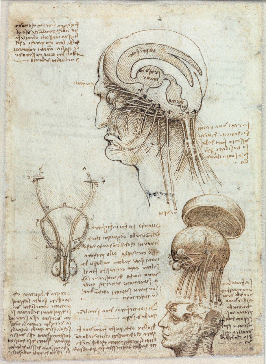 Tuntematon kuva tekijältä Leonardo da Vinci