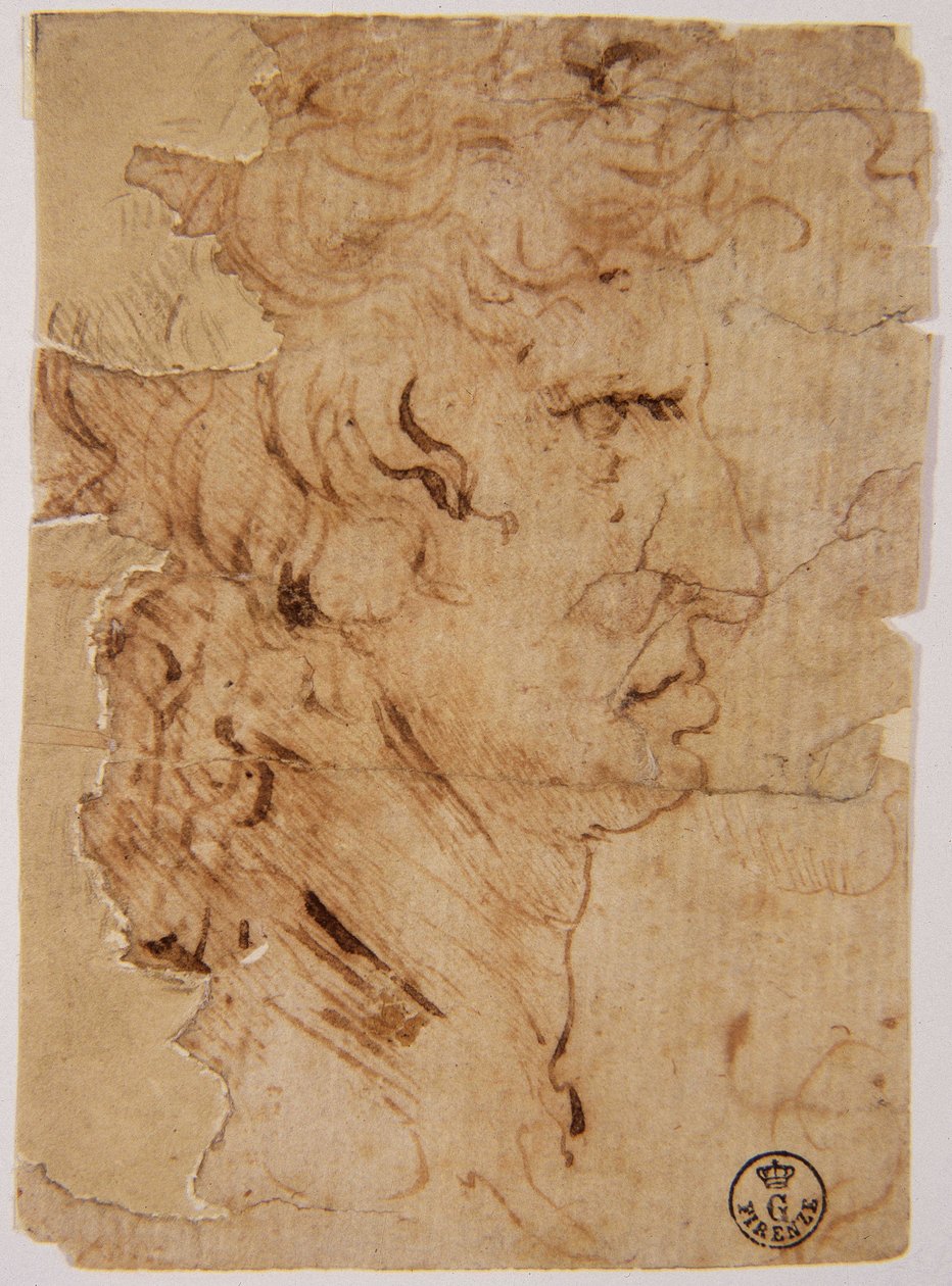 Tuntematon kuva tekijältä Leonardo da Vinci