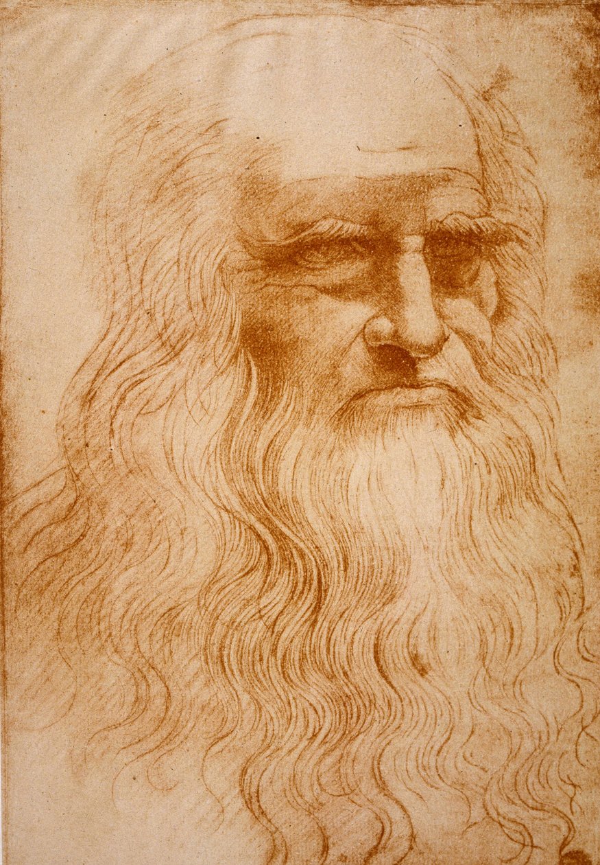 Tuntematon kuva tekijältä Leonardo da Vinci