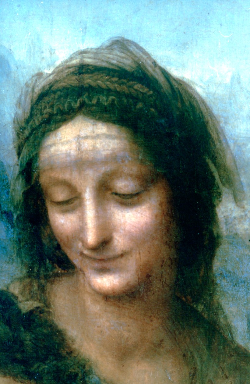 Neitsyt ja lapsi Pyhän Annan yksityiskohdalla, 1502-1516 tekijältä Leonardo da Vinci