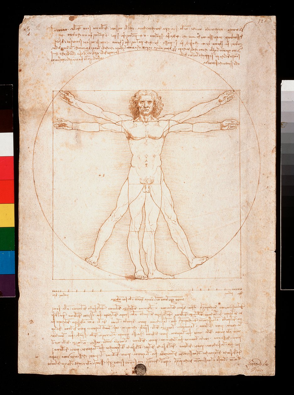 Vitruvian Man tekijältä Leonardo da Vinci