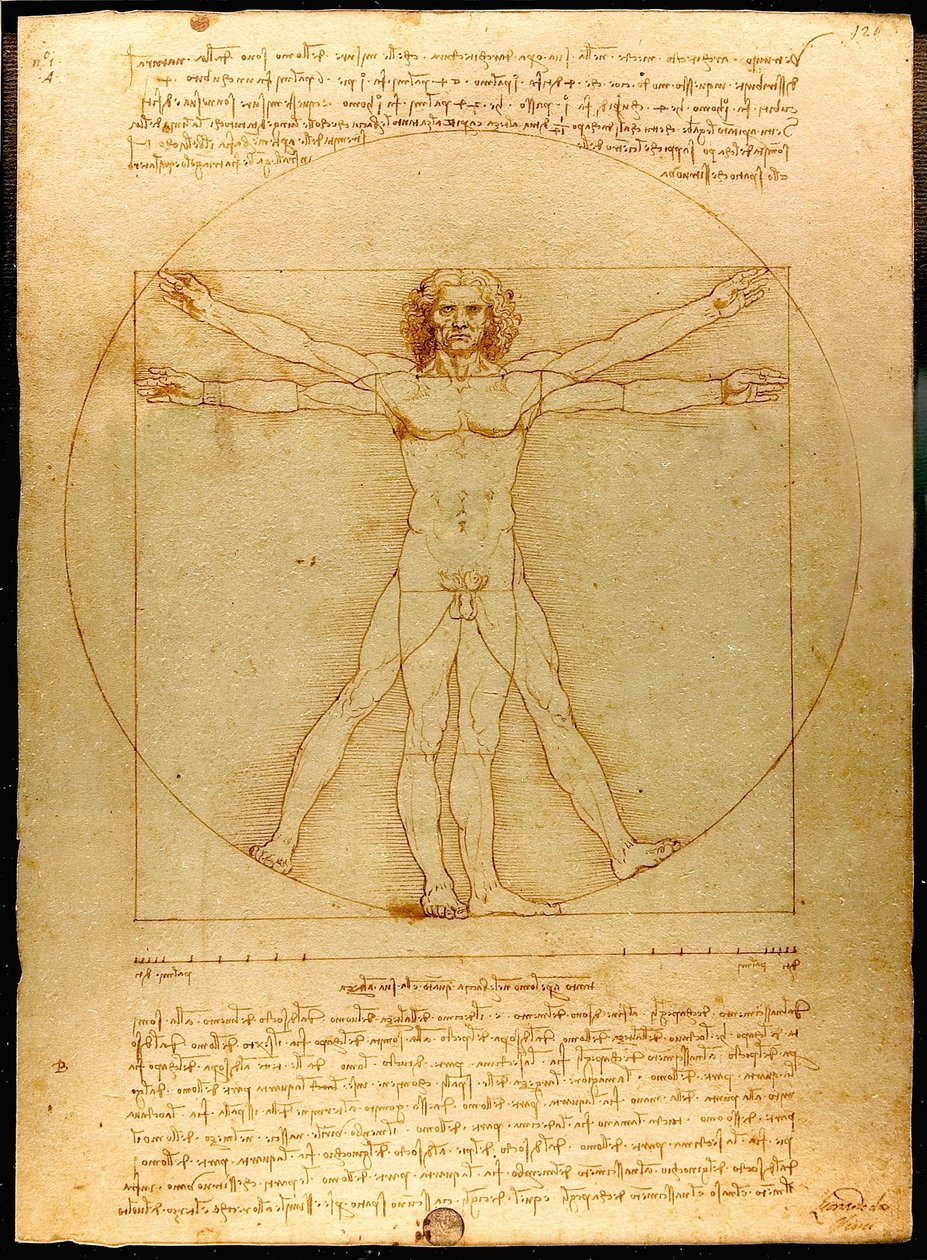 Vitruvian Man tekijältä Leonardo da Vinci