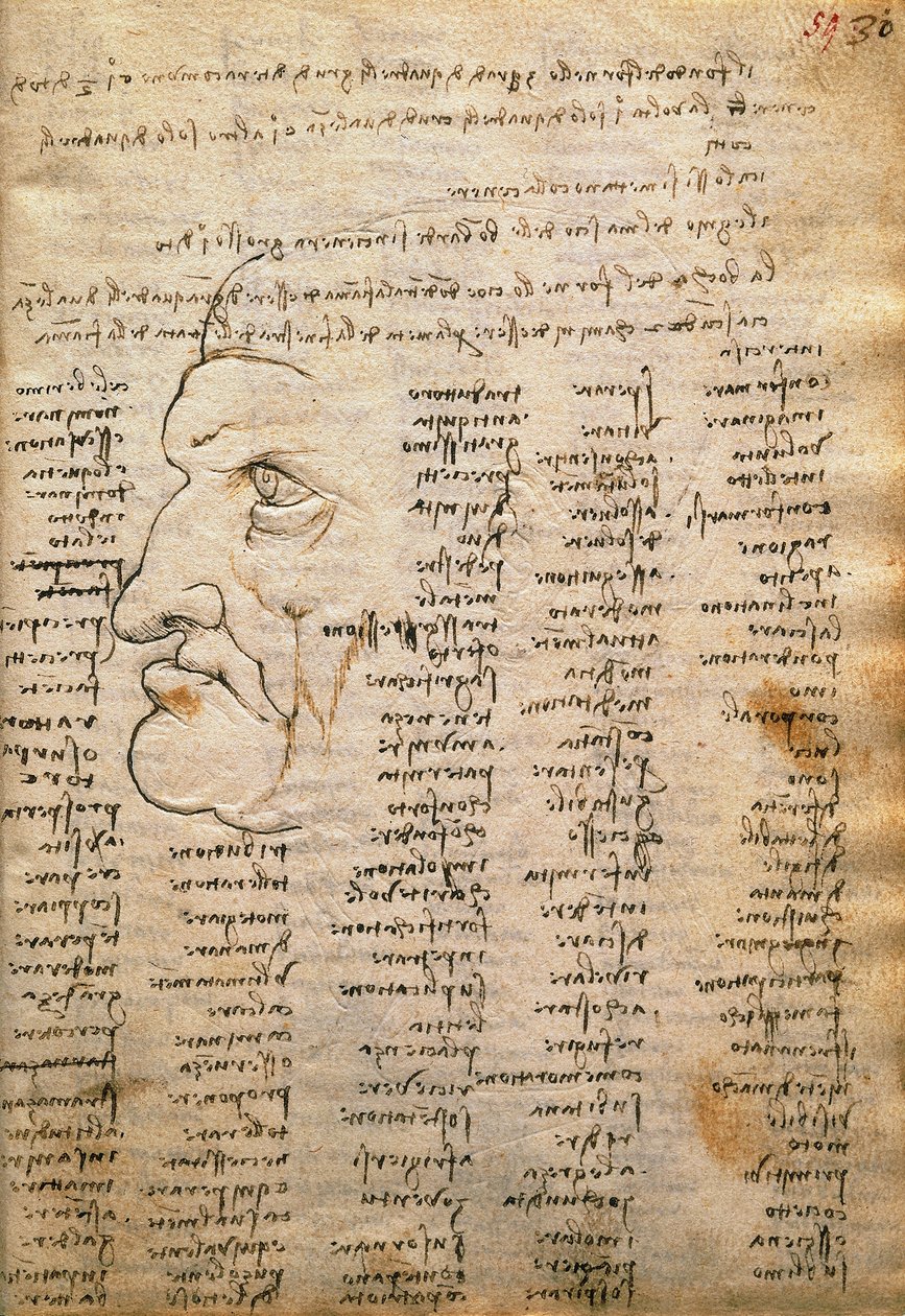 Sanaluettelo ja miesprofiili Codex Trivulzianuksesta tekijältä Leonardo da Vinci