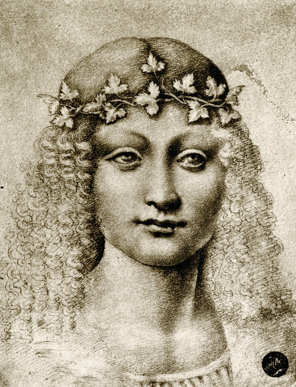 Viiniköynnösten seppeleen tytön pää tekijältä Leonardo da school of Vinci
