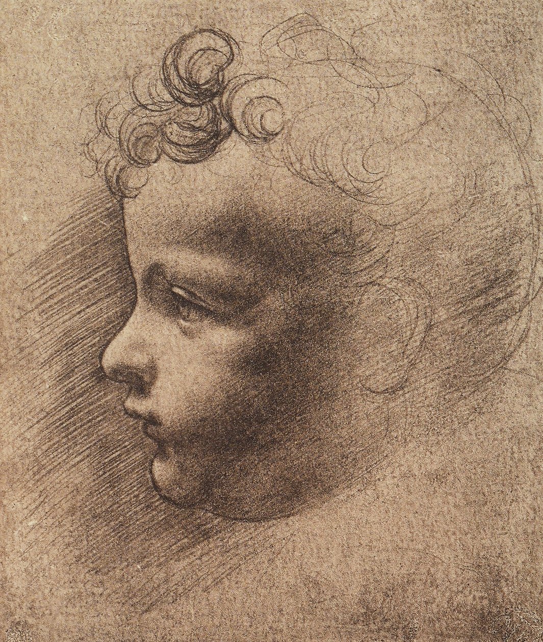 Pienen pojan pää; Leonardo da Vincin piirustus. Louvre, Pariisi tekijältä Leonardo da school of Vinci