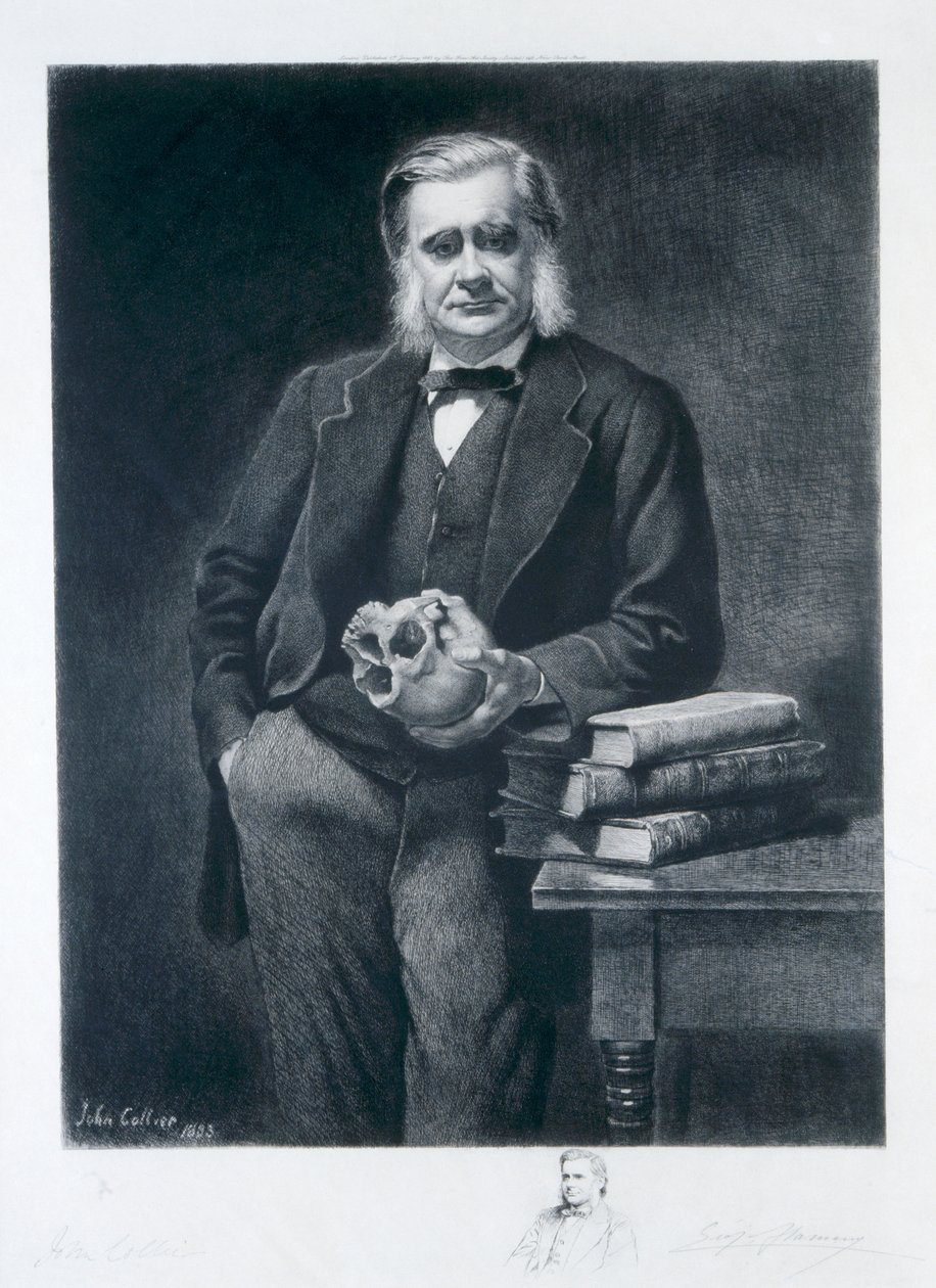 Thomas Henry Huxley, 1893 tekijältä Leopold Flameng