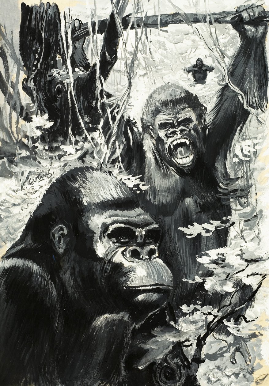Gorillat tekijältä Leslie Field Evans
