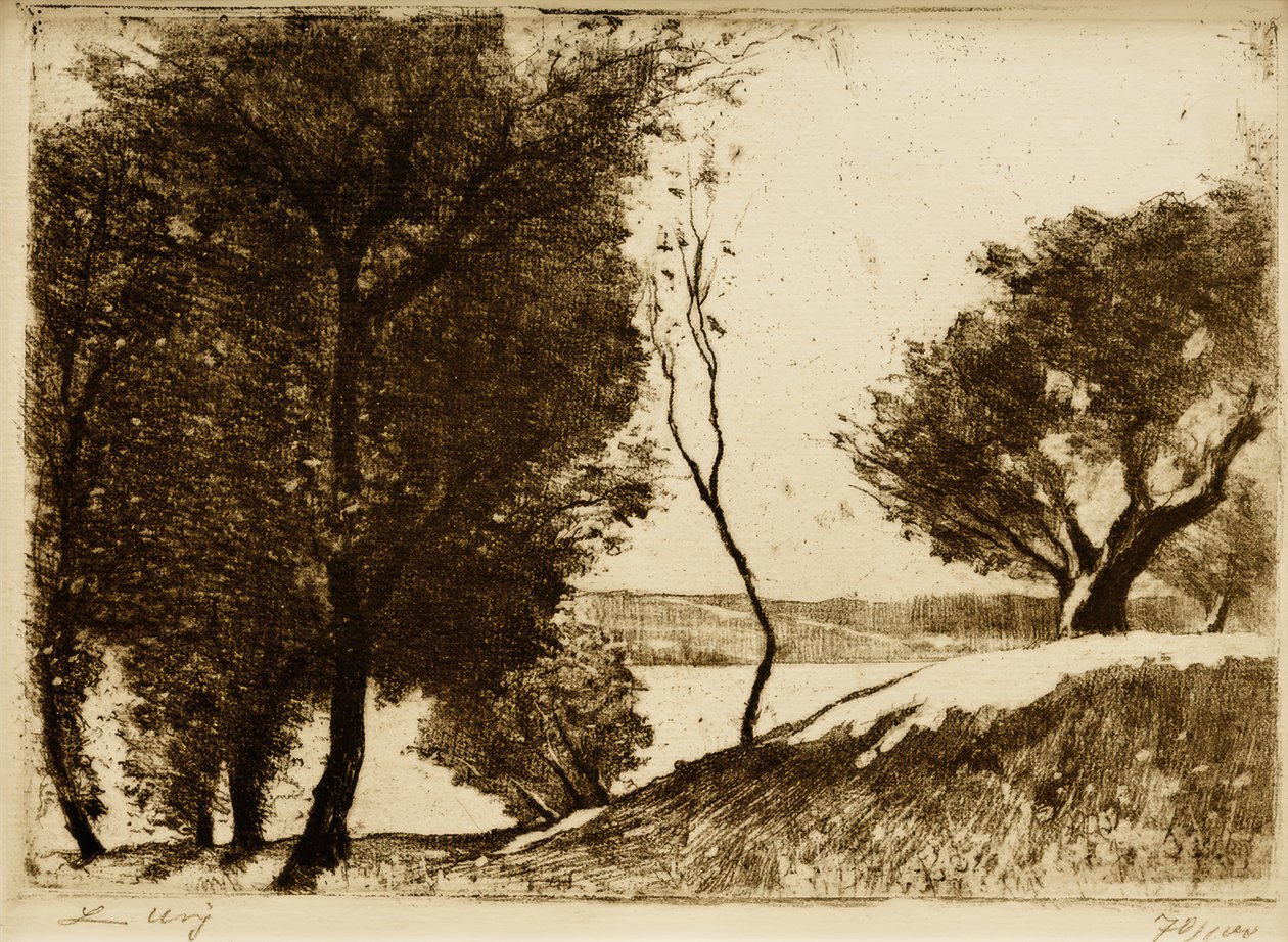 Baumbestandenes Ufer am märkischen See tekijältä Lesser Ury
