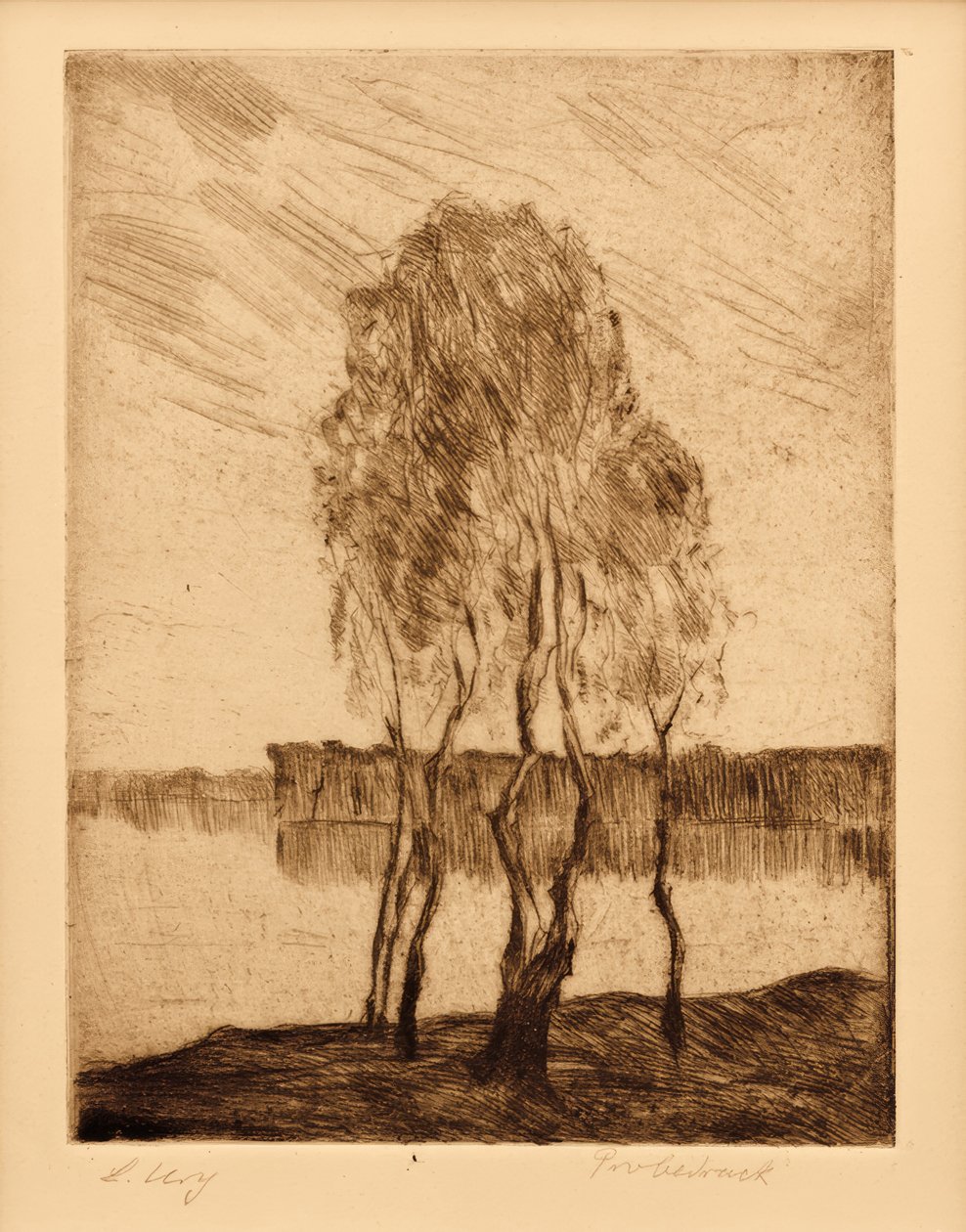 Drei Birken am märkischen See tekijältä Lesser Ury