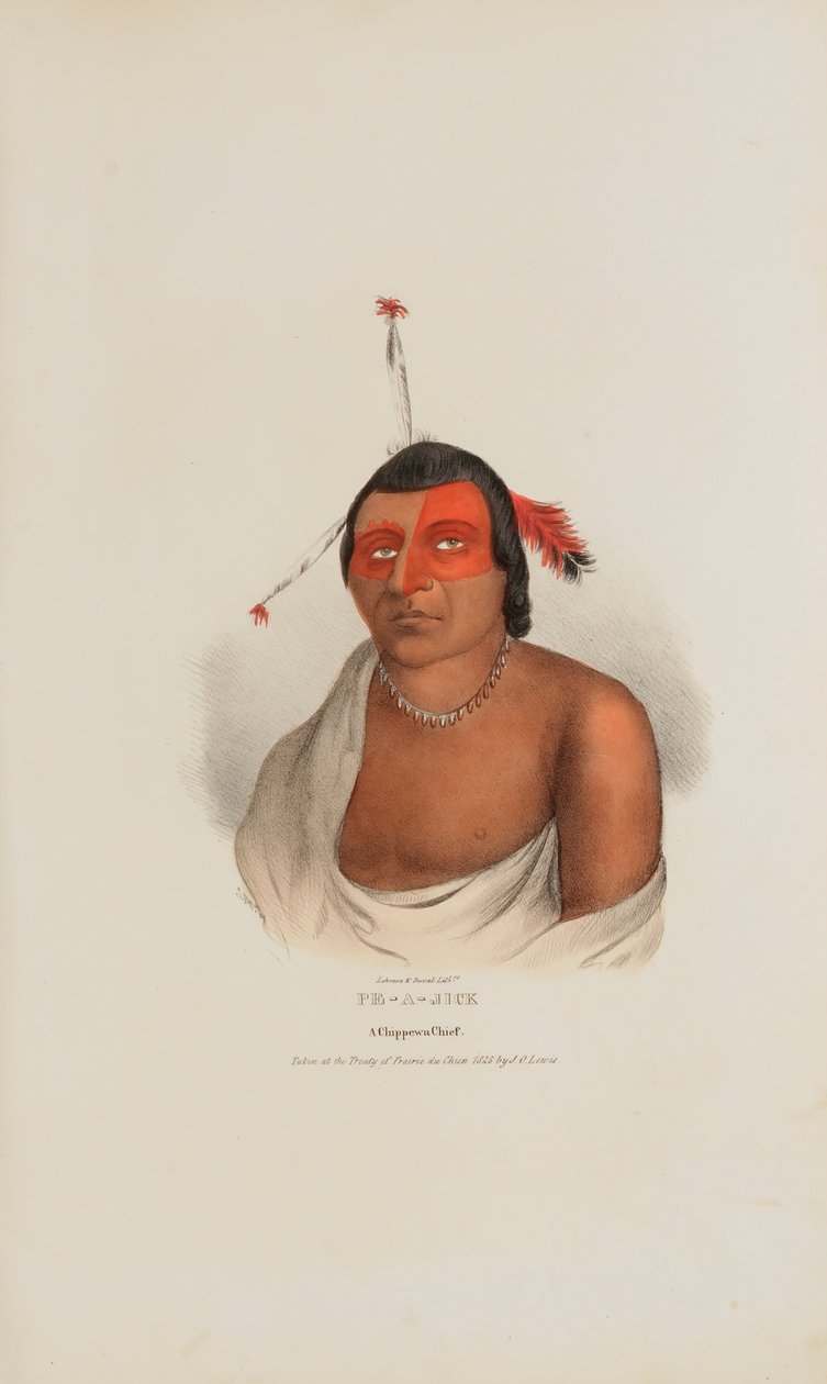 PE-A-JICK; A Chippewa Chief, Aboriginal Portfolio -teoksesta. tekijältä Lewis, James Otto