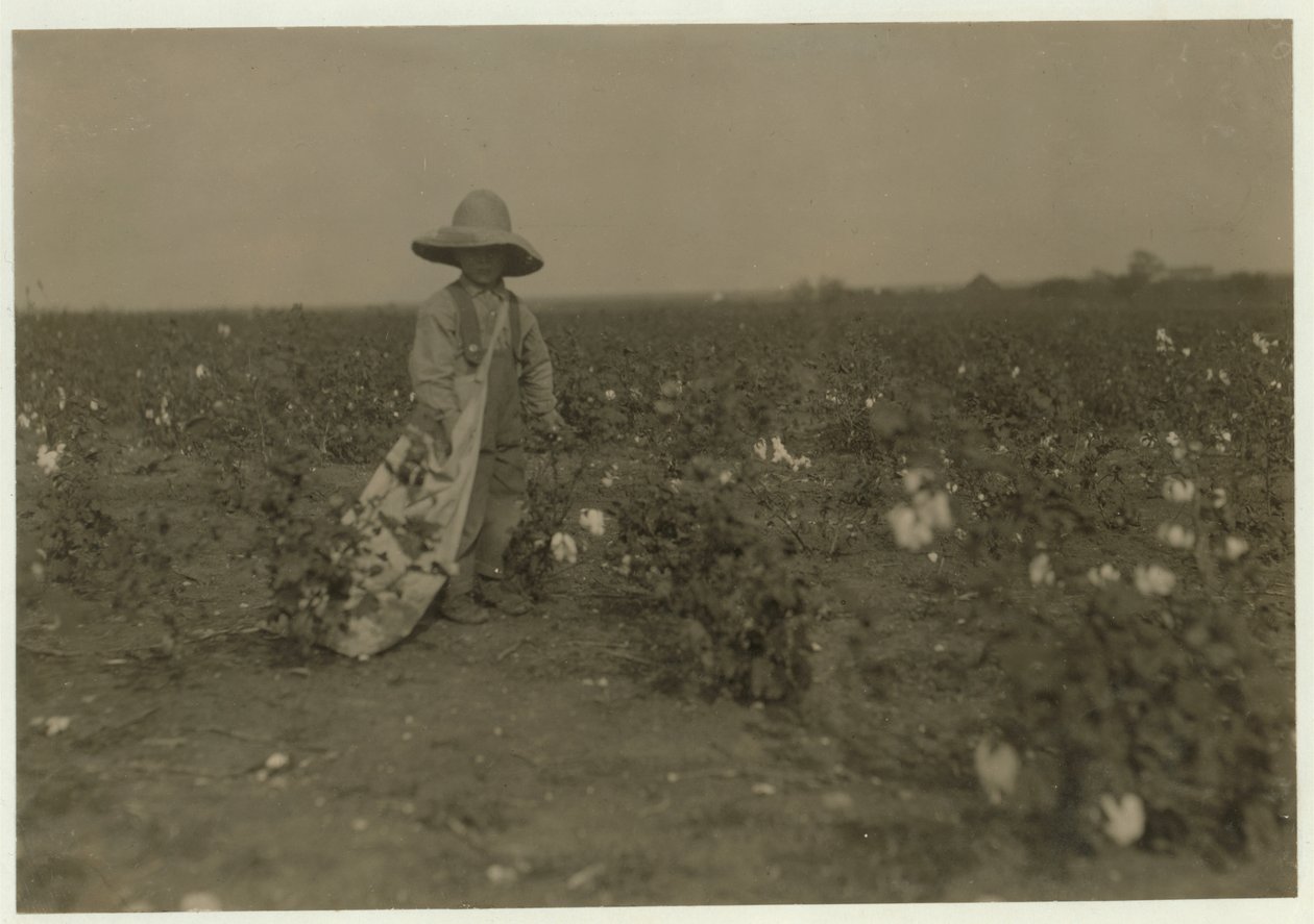 5-vuotias Willie Hesse poimii 15 kiloa puuvillaa päivässä vanhempiensa 80 hehtaarin maatilalla lähellä West, Texas, 1913 tekijältä Lewis Wickes Hine