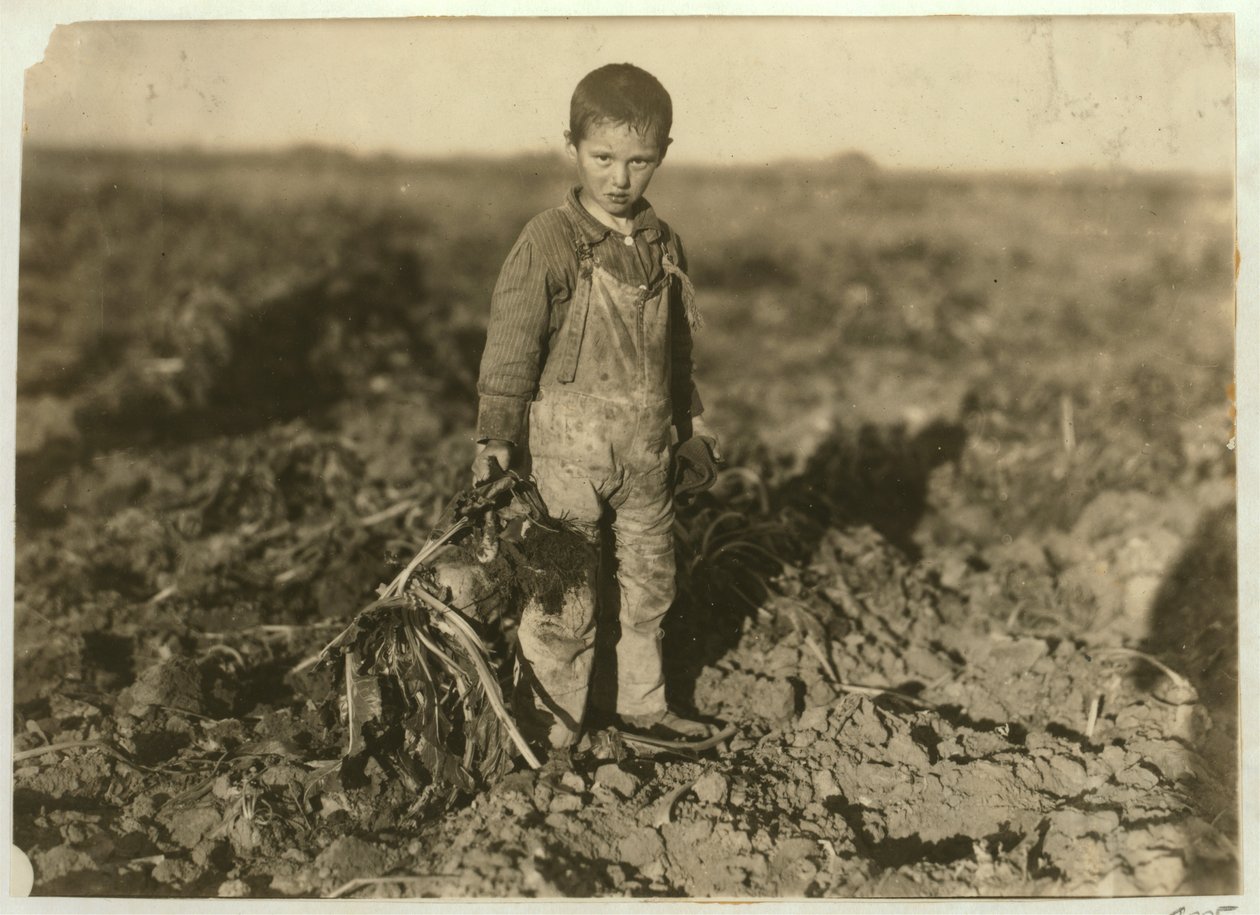 6-vuotias Jo vetää sokerijuurikkaita maatilalla lähellä Sterlingiä Coloradossa, 1915 tekijältä Lewis Wickes Hine