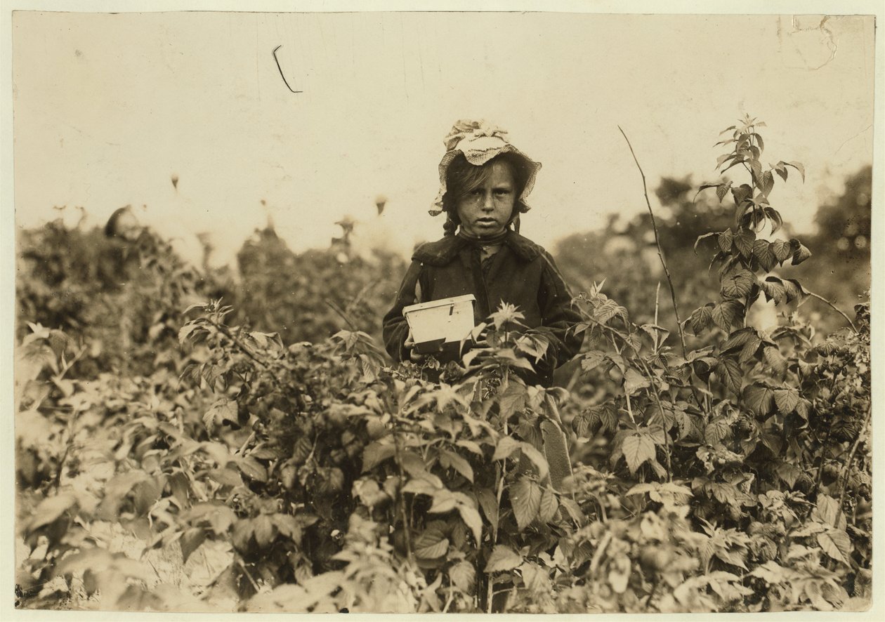Annie Bissie poimimassa marjoja pelloilla lähellä Baltimorea Marylandissa, 1909 tekijältä Lewis Wickes Hine