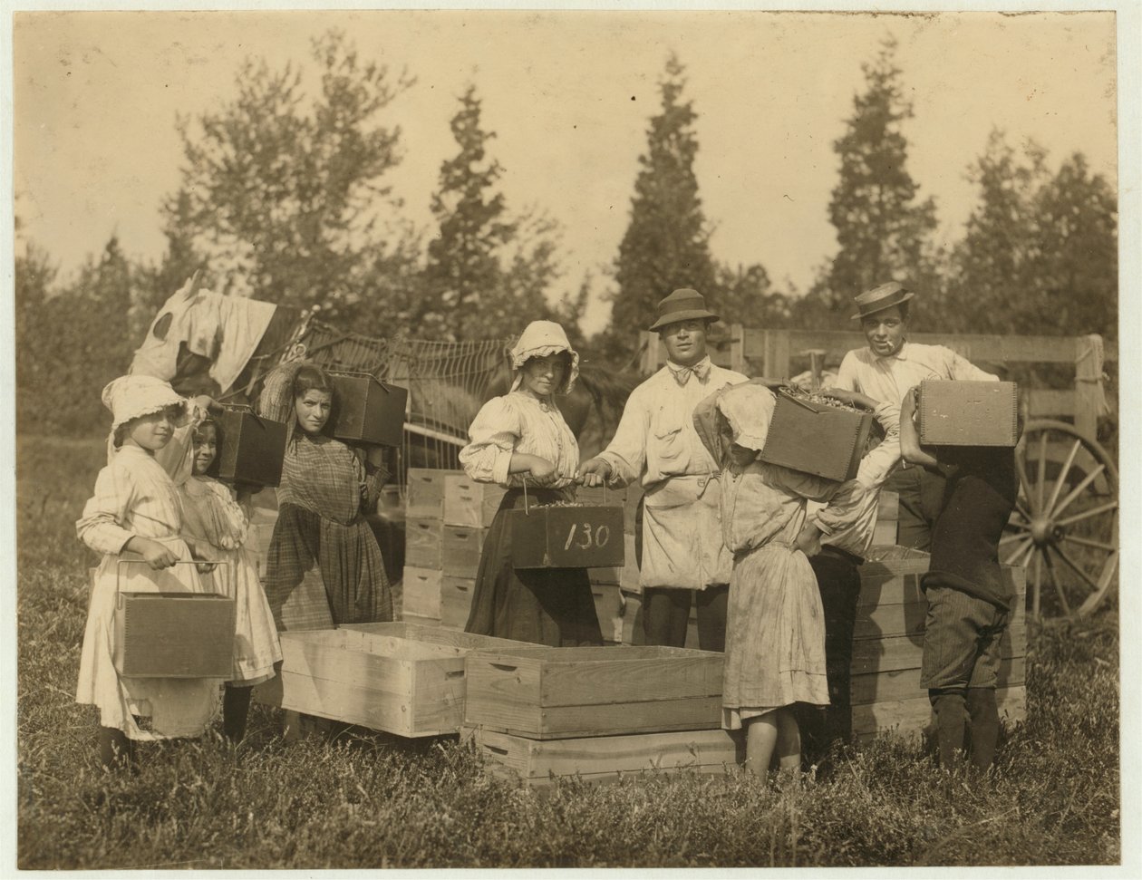 Lapset kantavat karpaloita Theodore Buddin suolla, Turkeytownissa lähellä Pembertonia, New Jersey, 1910. tekijältä Lewis Wickes Hine